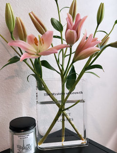Puransen Clear Book Flowers Vase - Cute Bookshelf Decor; Unique Vase for Book Lovers, Artistic and Cultural Flavor Acrylic Vases for Home Office Decor, A Book About Flowers (Clear - B)
