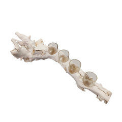 Driftwood 21" 4 Cup Tea Light Holder, White