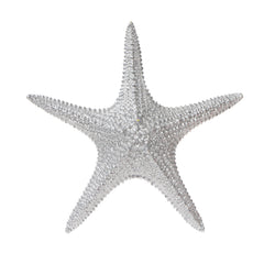 Polyresin 3"H Starfish Figurine, Silver