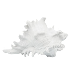 Polyresin 7" Conch Shell Decor, White