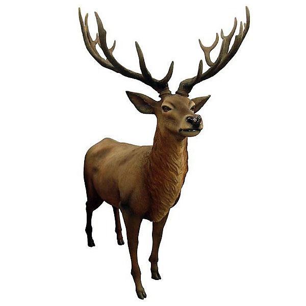 AFD Home Red Stag Deer