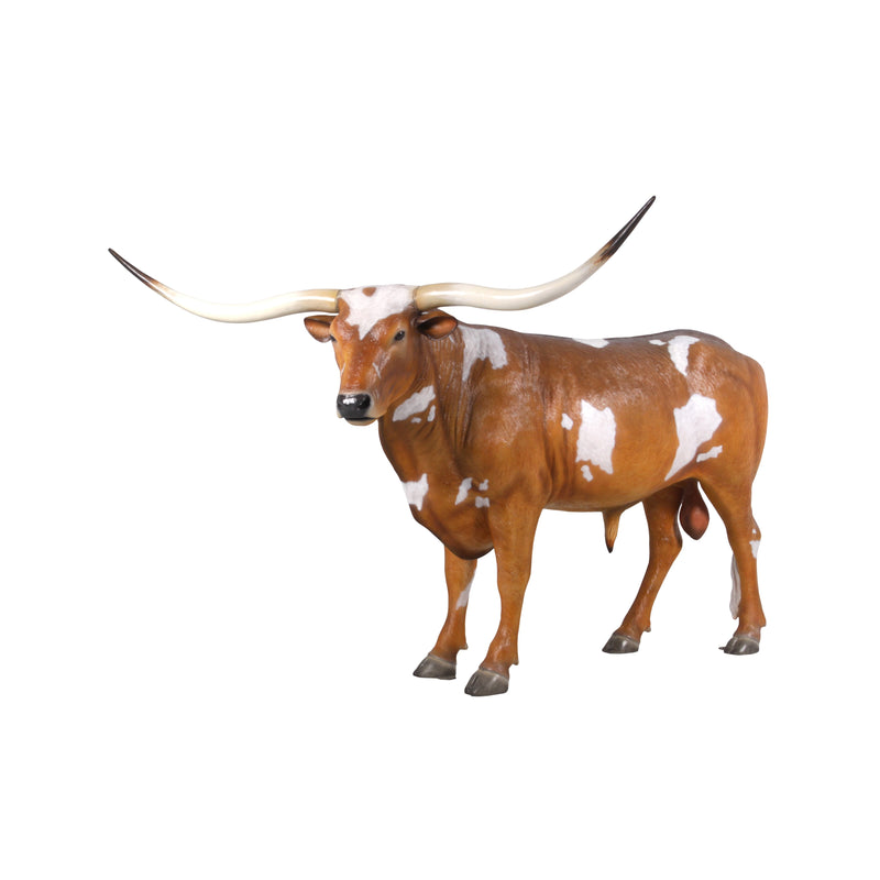 AFD Home Texas Longhorn Bull